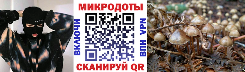 Галлюциногенные грибы Cubensis  купить   нарко площадка официальный сайт  Калининград 