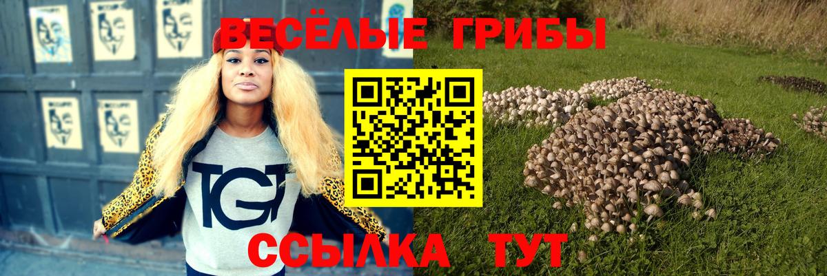 Калининград  Галлюциногенные грибы мицелий  Галлюциногенные грибы ЛСД  Вход с VPN 