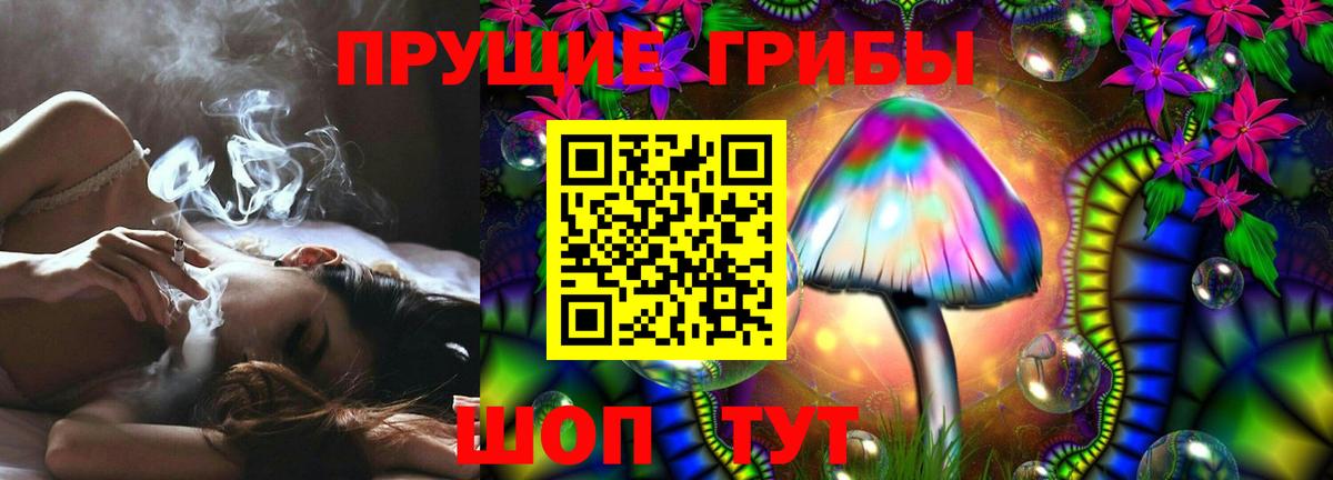 Галлюциногенные грибы мухоморы Калининград