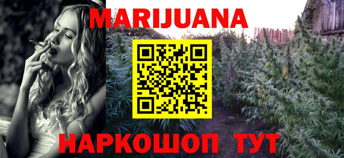 Бошки Шишки план Калининград
